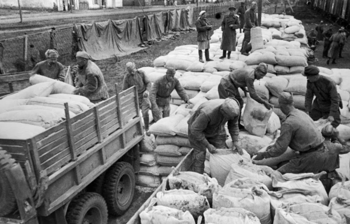 ГИЕНА ЕВРОПЫ