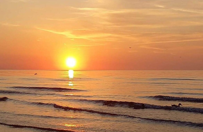 ТАКИЕ РАЗНЫЕ, РАЗНЫЕ ЛАТЫШИ