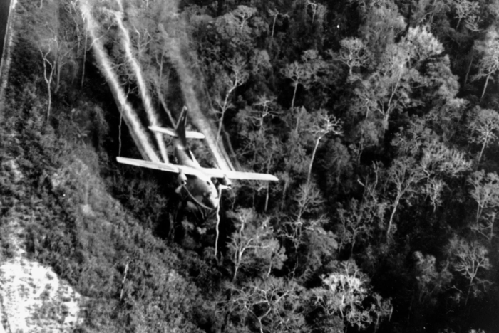 МЕНЯ СБИЛ ВЬЕТНАМСКИЙ ЛЕТЧИК СИ-НИ-ЦЫН