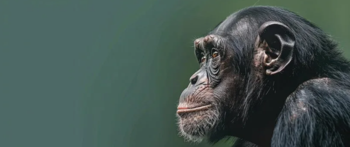 ВОПРОСЫ УБЕЖДЕНИЙ