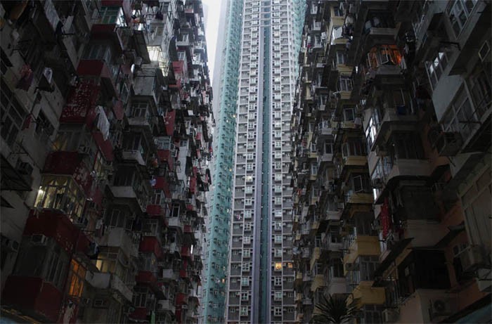 ГОНКОНГСКИЙ МОНСТР