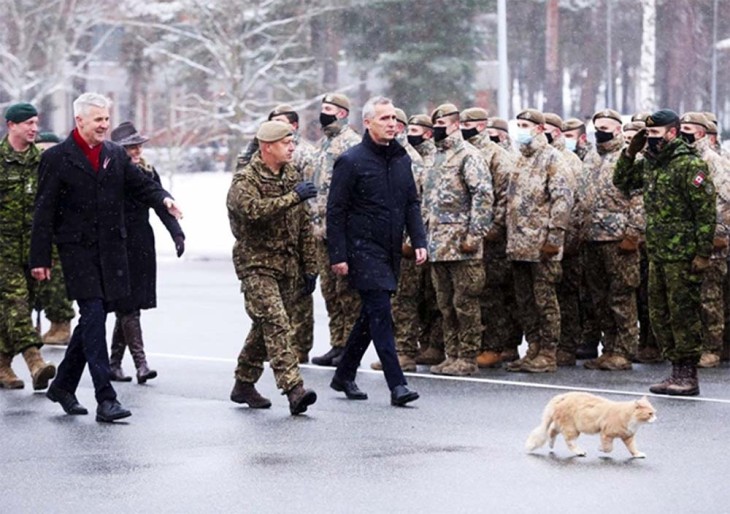 ЗА ЧЕТЫРЕ ЛАТА...