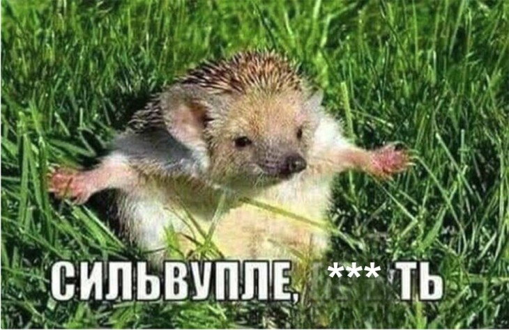 ОСТЕРЕГАЙТЕСЬ ПОДДЕЛОК!