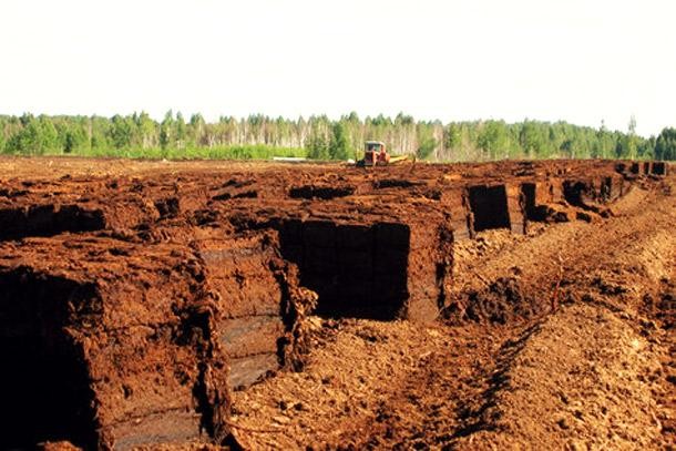 В поисках латвийского &laquo;золота&raquo;