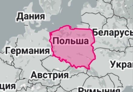 ПОЛЬСКИЙ ВОПРОС