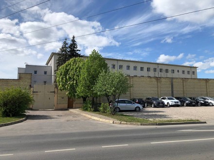 ПРИВЕТ ВСЕМ ОТ АЛЬГИРДАСА ПАЛЕЦКИСА