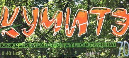 БОЕВЫЕ ИСКУССТВА. КАЖДЫЙ МОЖЕТ СТАТЬ СИЛЬНЫМ!