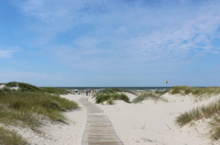 СРЕДИ БАЛТИЙСКИХ ДЮН