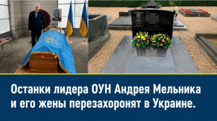 КОСТИ, КОТОРЫЕ ВЕЗУТ В КИЕВ