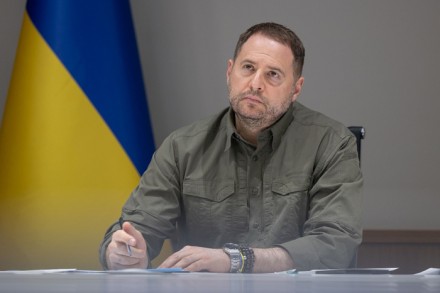 СЕРЫЙ КАРДИНАЛ В ОЛИВКОВОЙ ФОРМЕ.