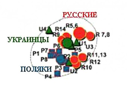 Этнос &mdash; понятие не генетическое