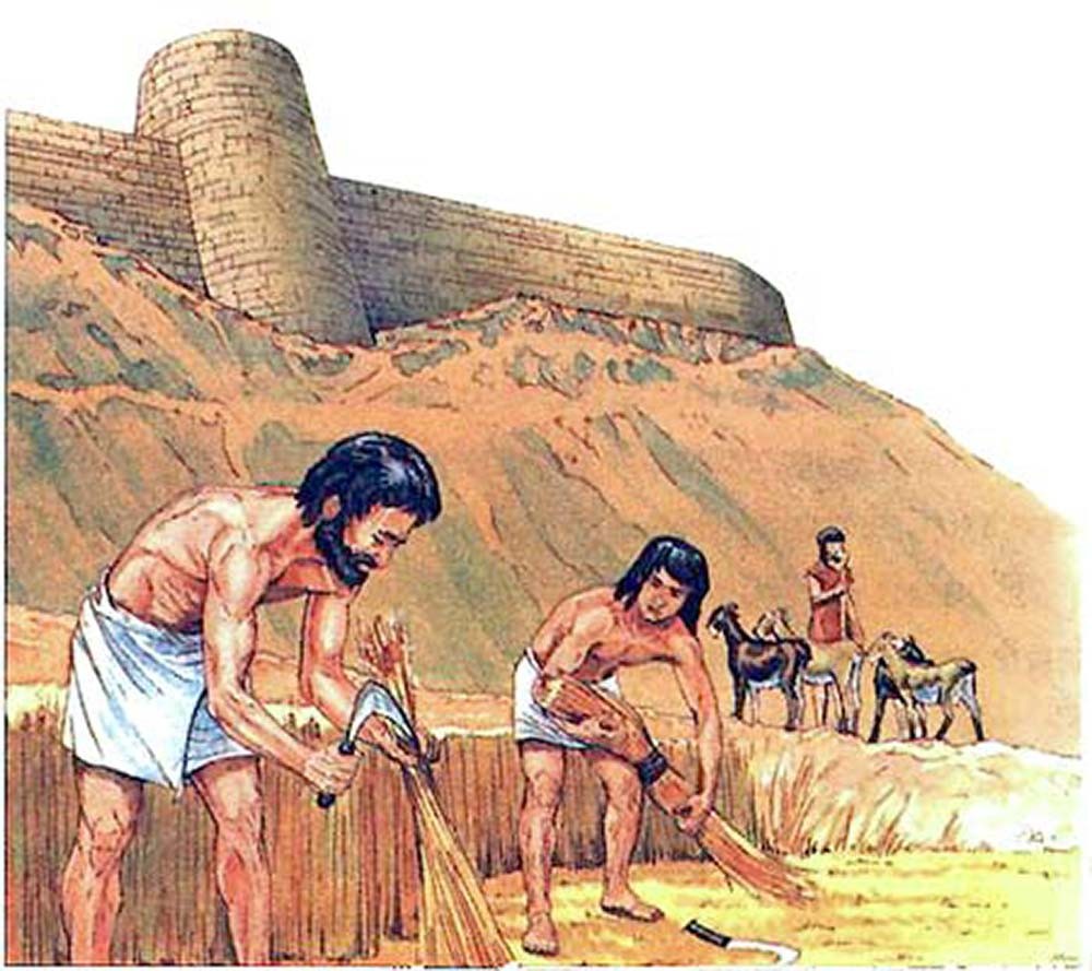 Рассказ один день из жизни раба. Древняя Месопотамия земледелие. Месопотамия рабовладельчество. Земледелие в древнем Египте. Древнее царство Египет рабовладение.